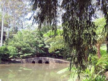 Mt Tambourine - Botanical Gardens Stone Bridge (30 Mar 2007)
